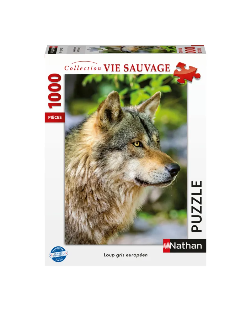 Europäischer Grauer Wolf