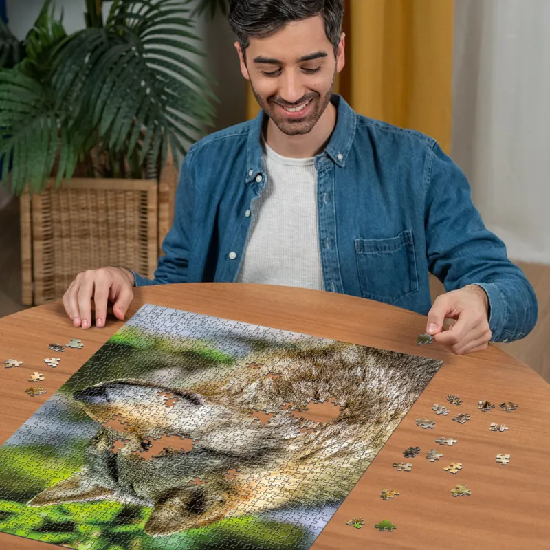 Europäischer Grauer Wolf