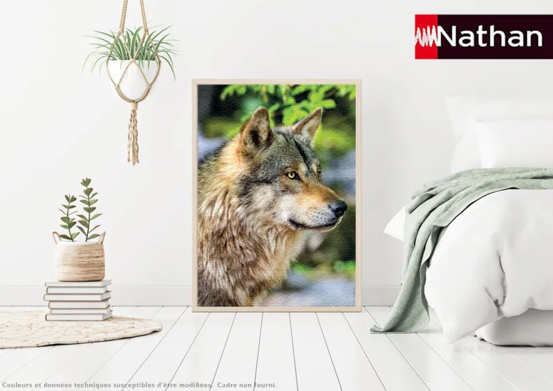 Europäischer Grauer Wolf