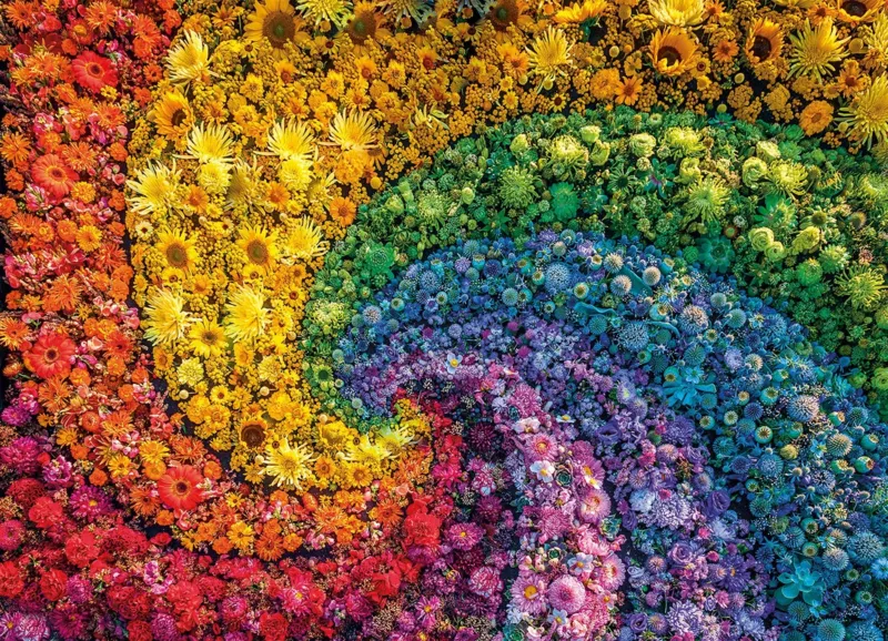 Colorboom Whirl
