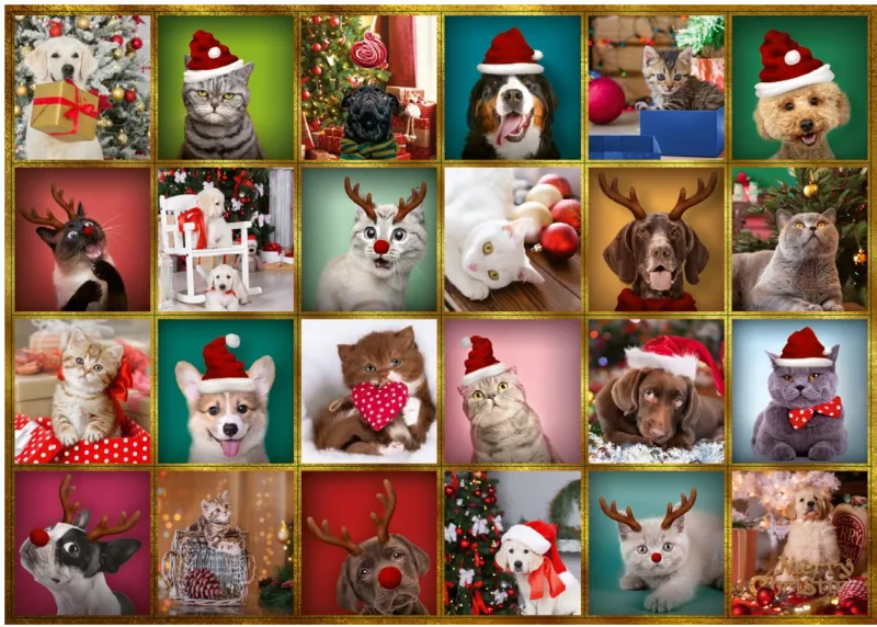 Adventskalender Tiere