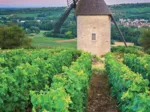 Moulin Sorine - Vignoble de Santenay - Bourgogne