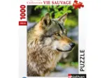 Europäischer Grauer Wolf