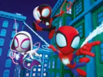 Spideys Team
