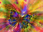 Colorful Butterfly