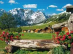 Blick ins Bergidyll