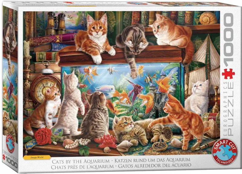 Katzen am Aquarium