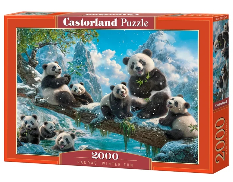 Pandas' Winter Fun
