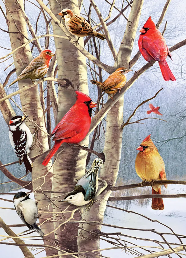 Wintervögel