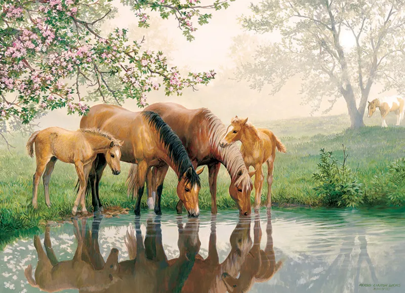 XXL Teile - Horse Family