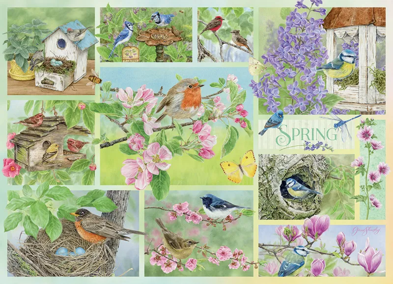 Garten Vögel im Frühling