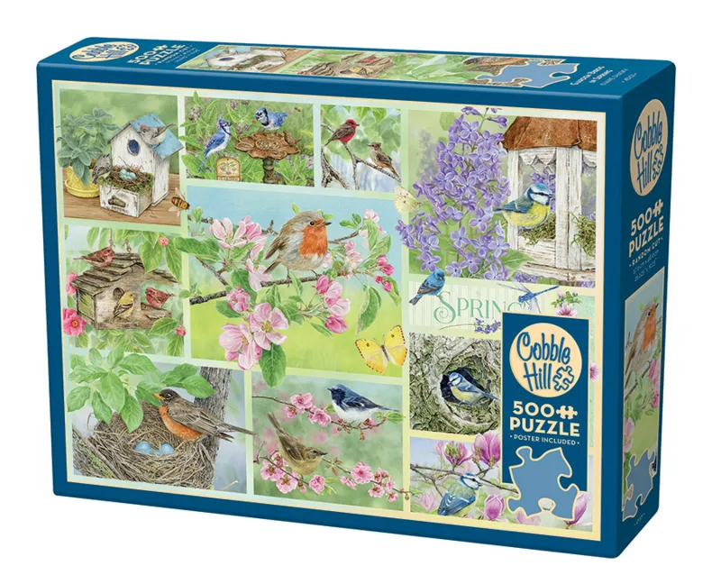 Garten Vögel im Frühling