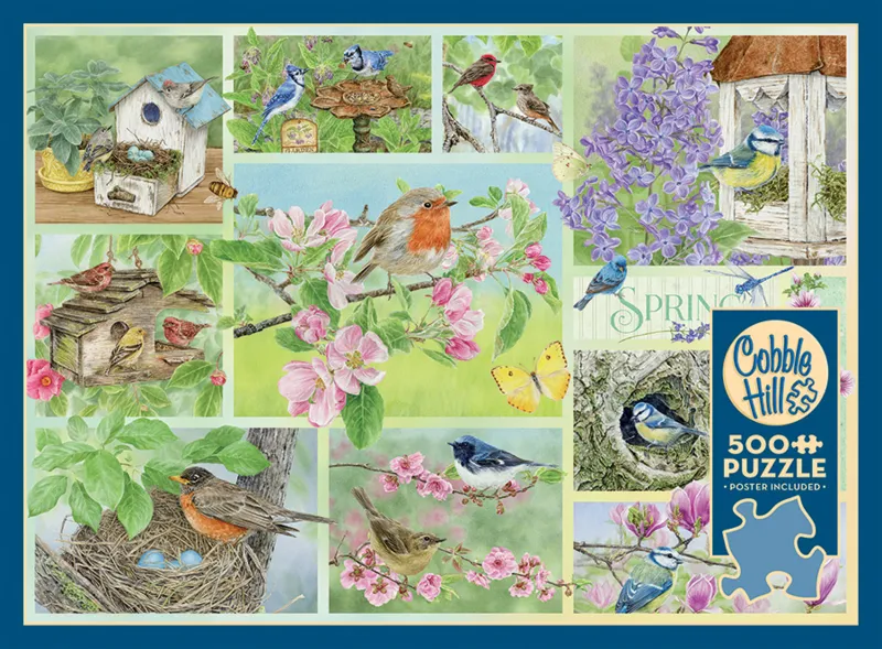 Garten Vögel im Frühling