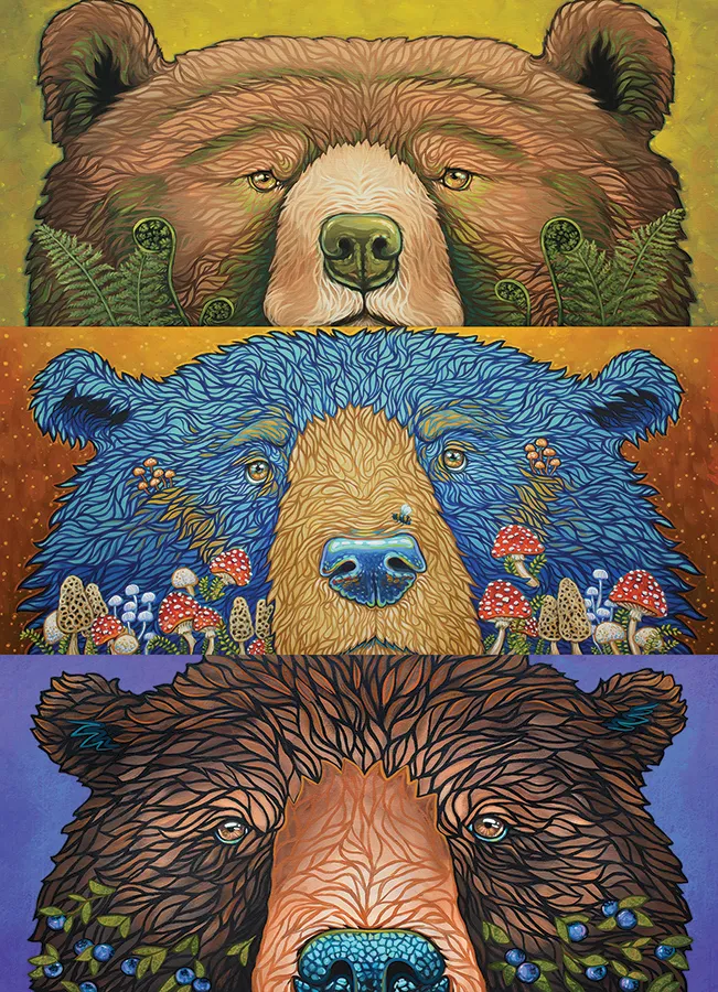 XXL Teile - Bear Eyes: Ernte - Random Cut