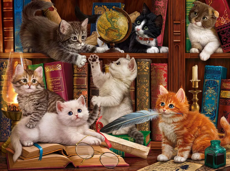 Library Kittens