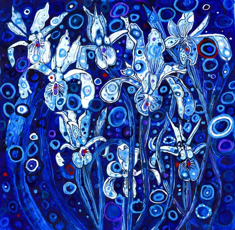 Blue Iris