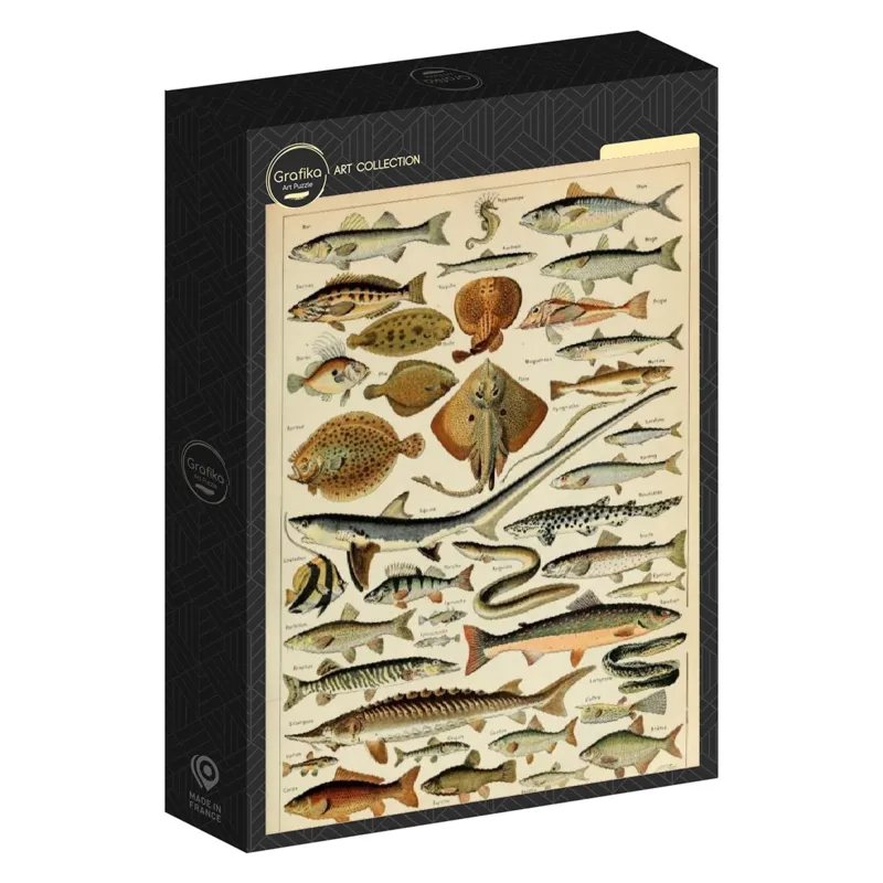 Illustration aus dem Larousse pour Tous: Fische, 19. Jahrhundert
