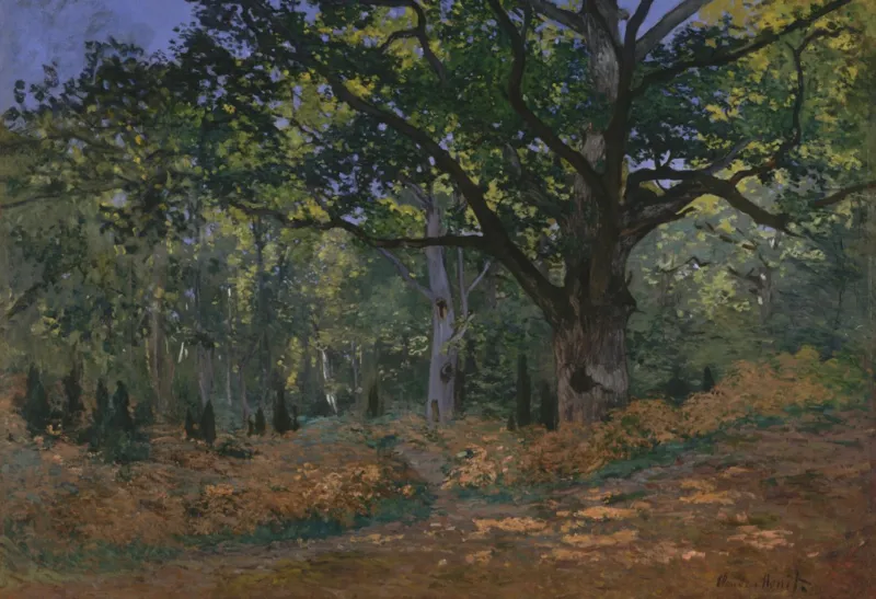 XXL Teile - Claude Monet: Fontainebleau, 1865