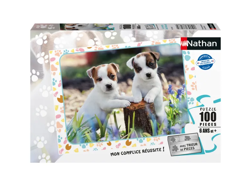 The Little Jack Russells
