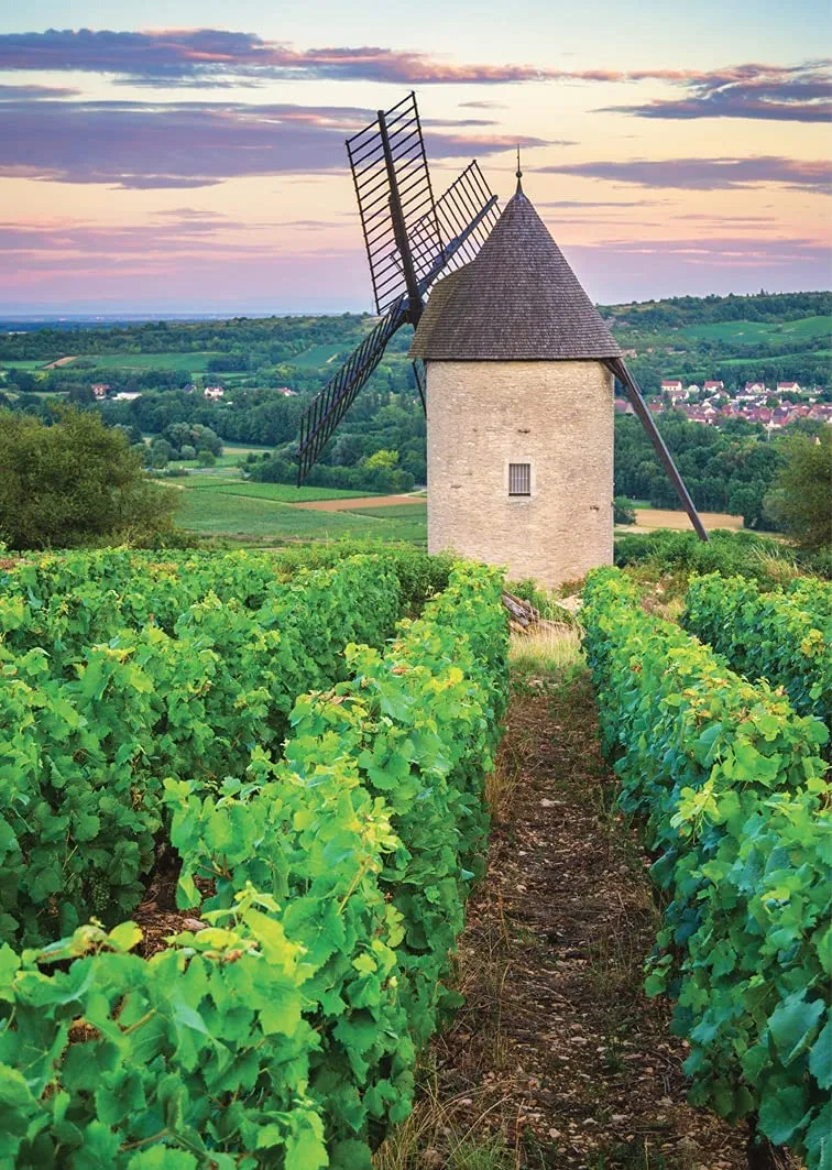 Moulin Sorine - Vignoble de Santenay - Bourgogne