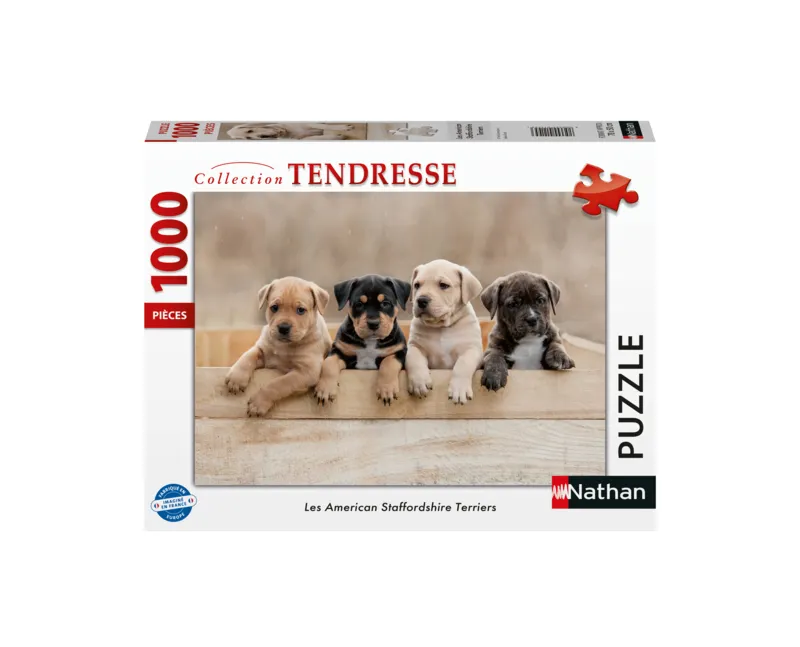 Die American Staffordshire Terrier