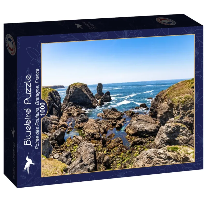 Pointe des Poulains, Bretagne, France
