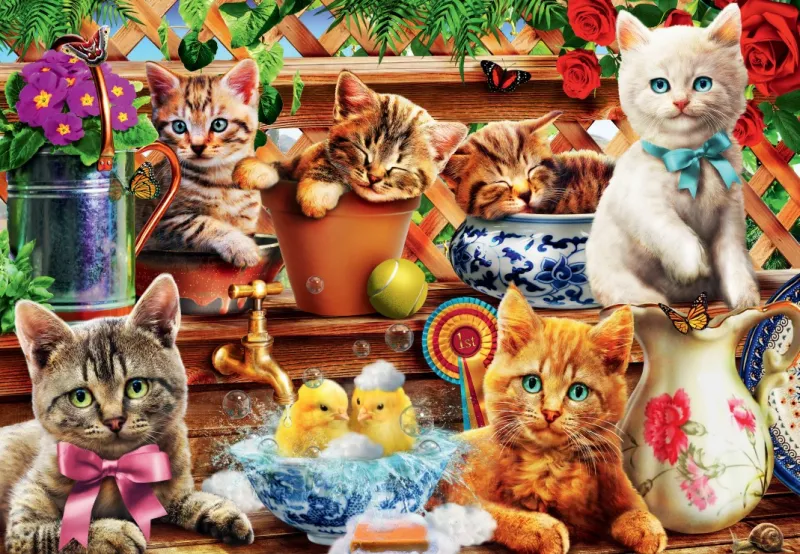 Kittens in the Potting Shed