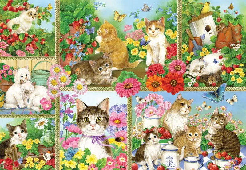 Katzen und Kätzchen