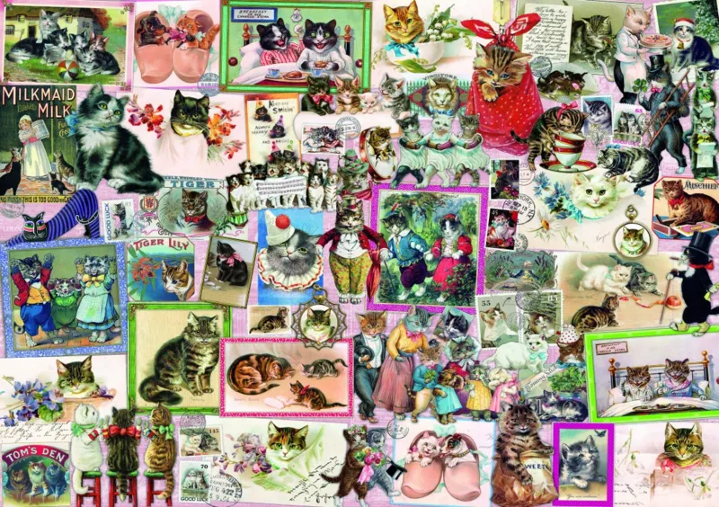 Cats