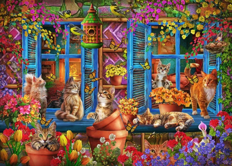 Katzen auf der Fensterbank