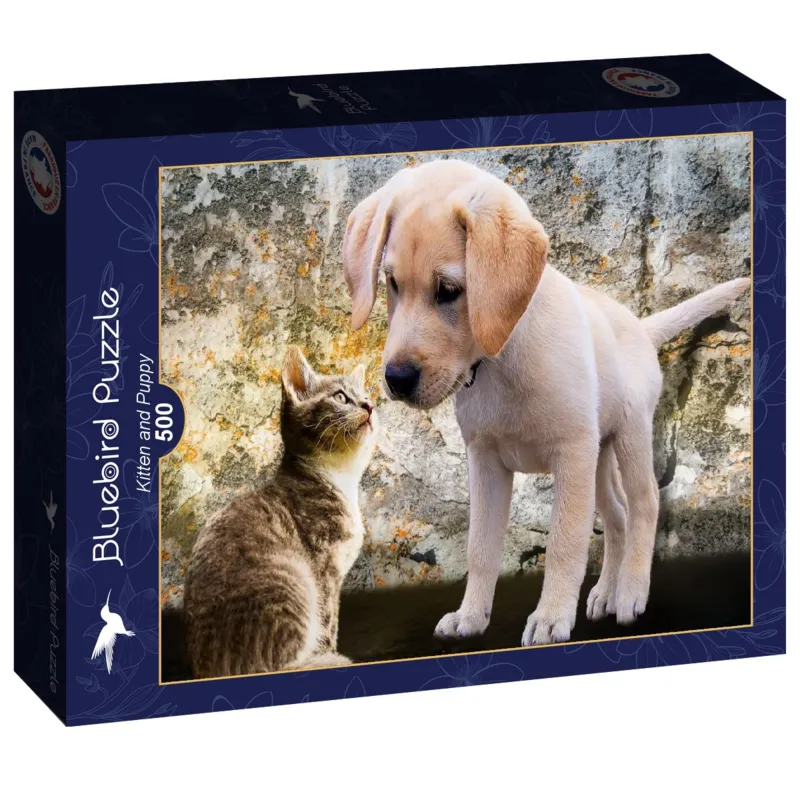 Kitten and Puppy