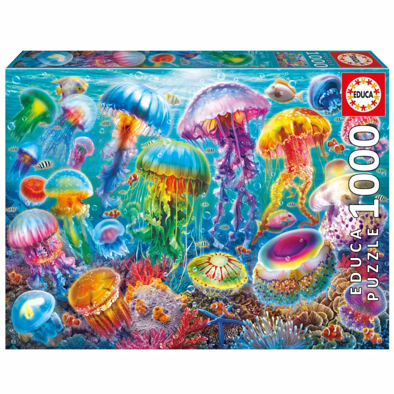 Jellyfish