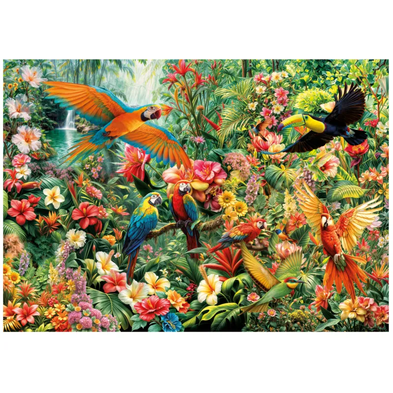 Amazon Birds