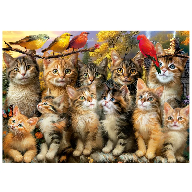Kittens and Birds