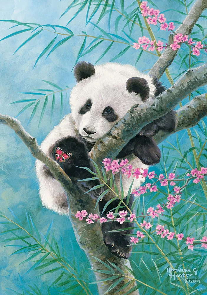 Bamboo Dreams