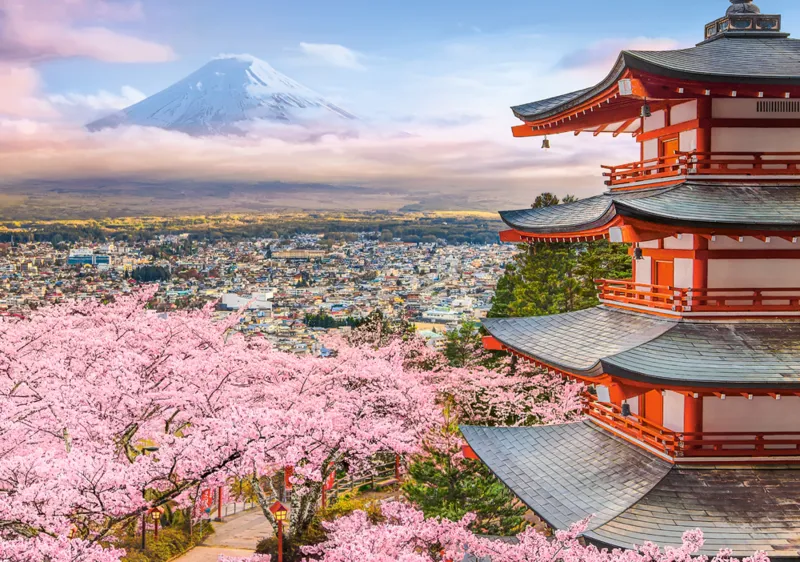 Frühling in Japan
