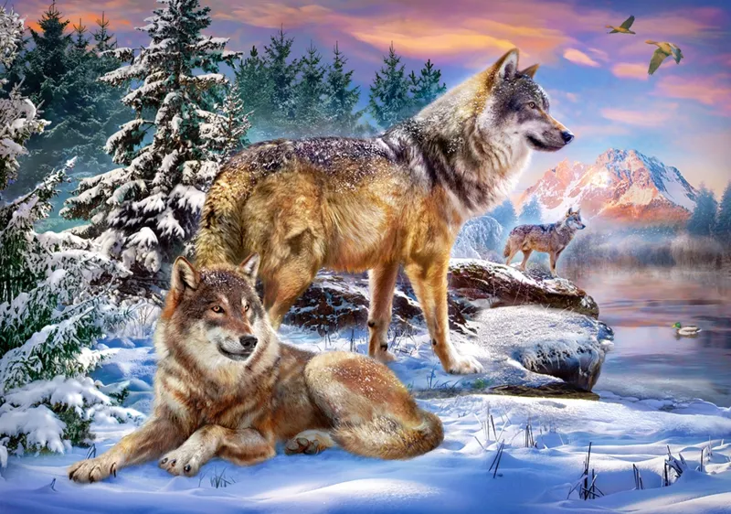 Wölfisches Wunderland