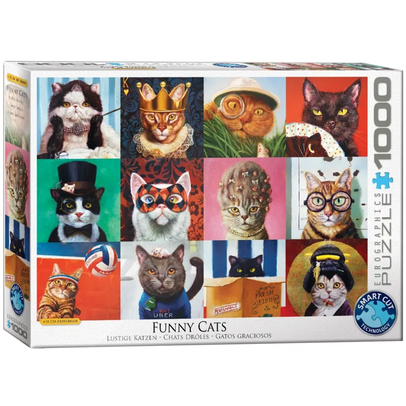 Lustige Katzen