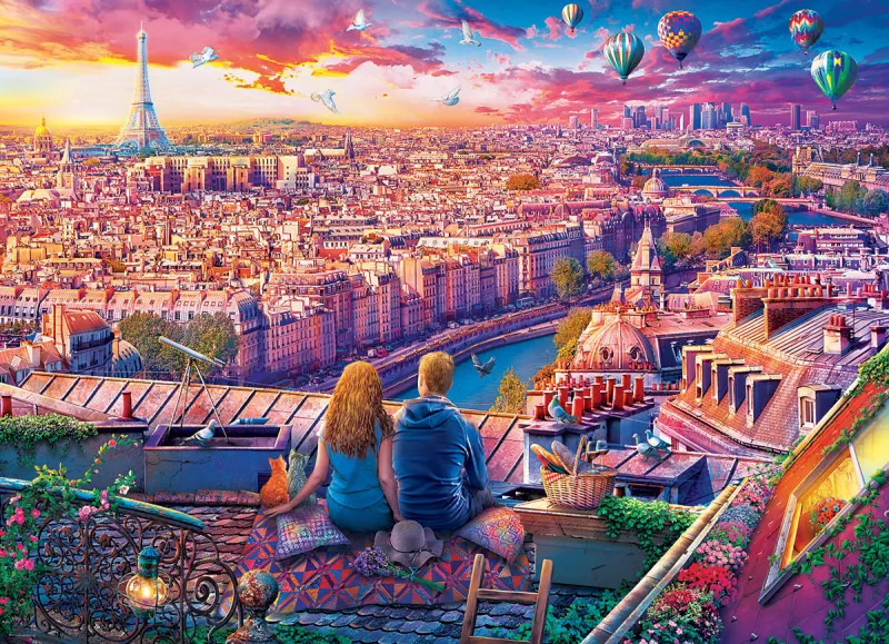 Über den Dächern von Paris