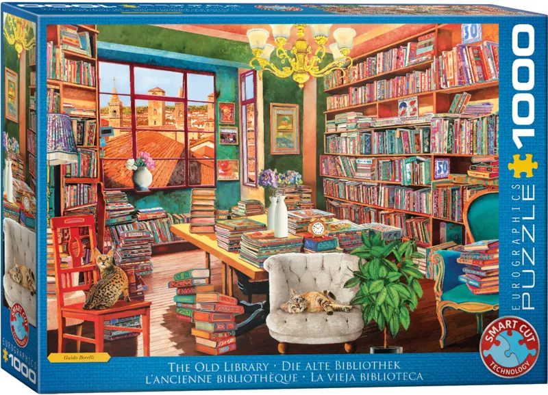 Die alte Bibliothek