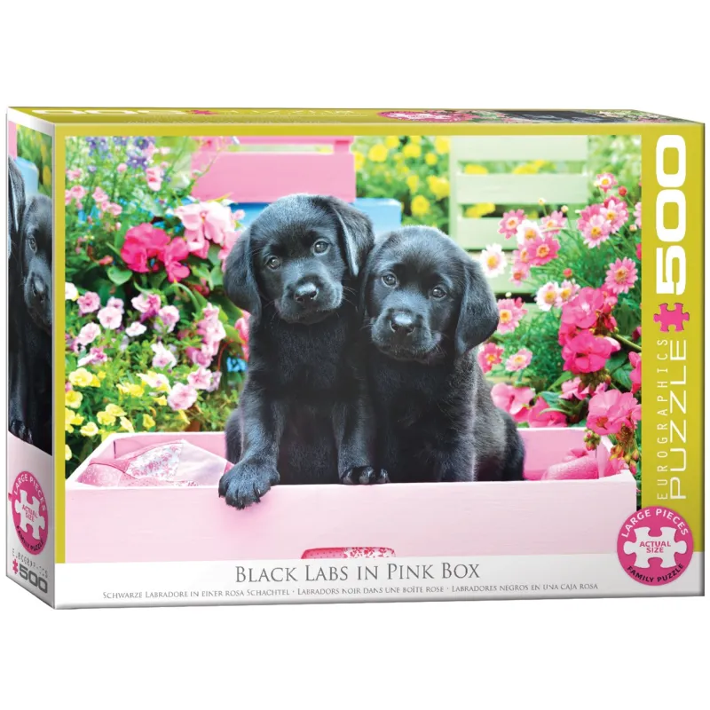 XXL Teile - Black Labs in Pink Box