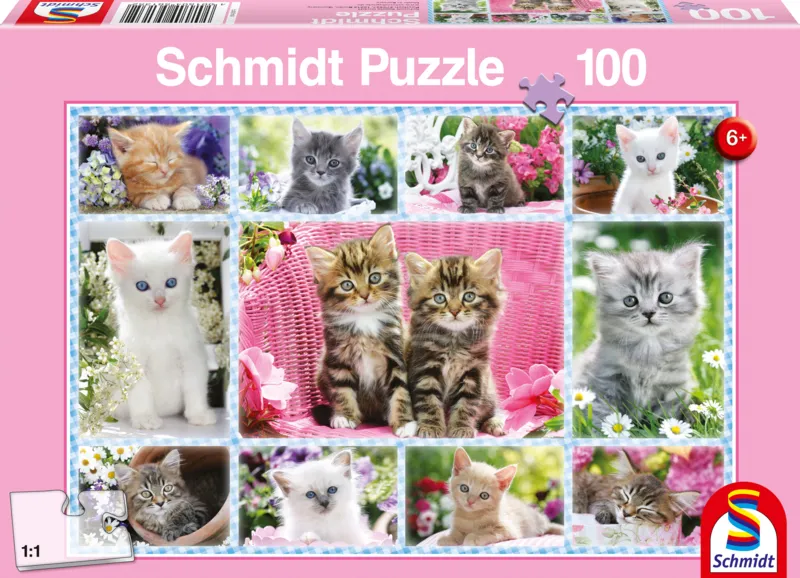 Katzenbabies