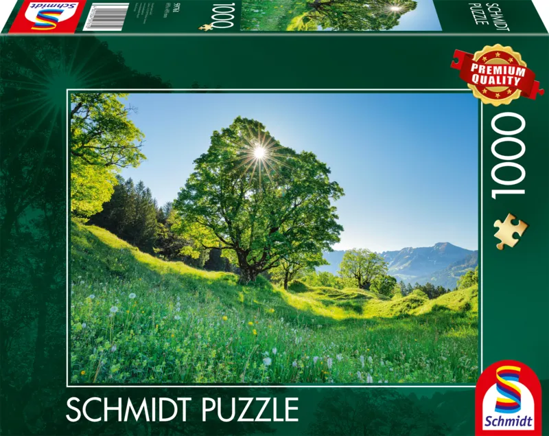 Bergahorn in der Sonne - St. Gallen, Schweiz