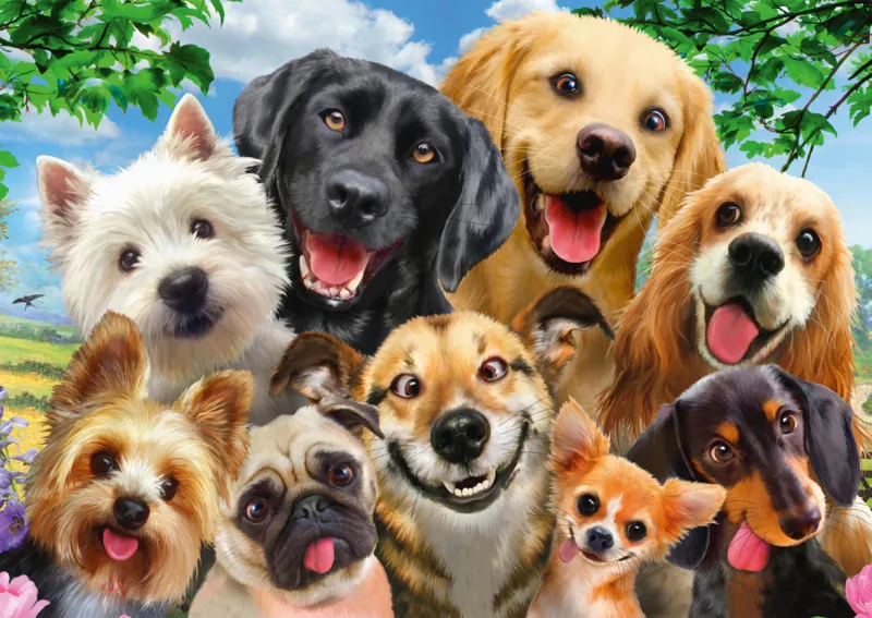 Dogs' Selfy