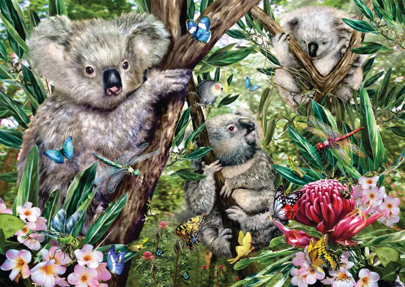 Süße Koala-Familie