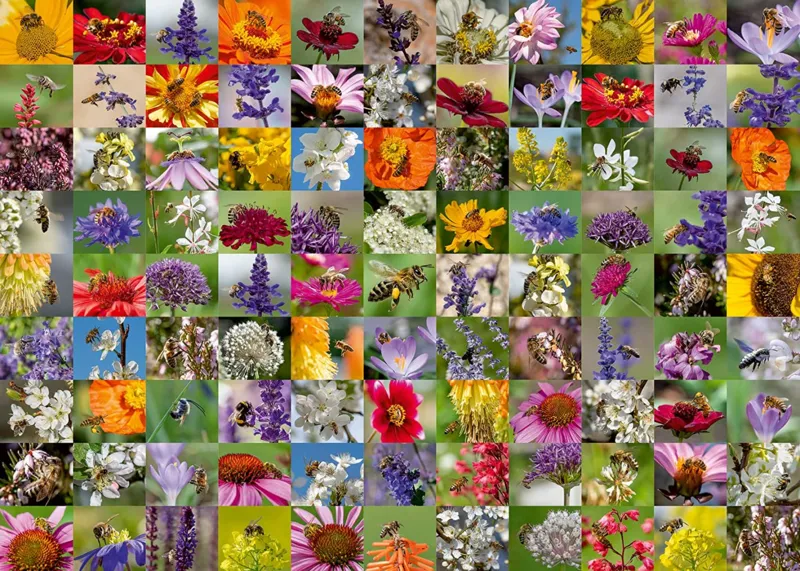 Bienen