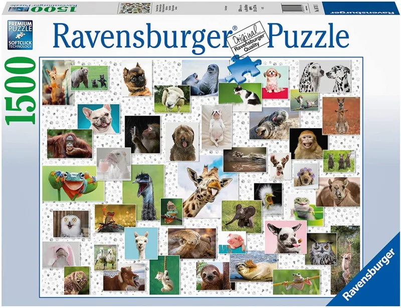 Funny Animals Collage