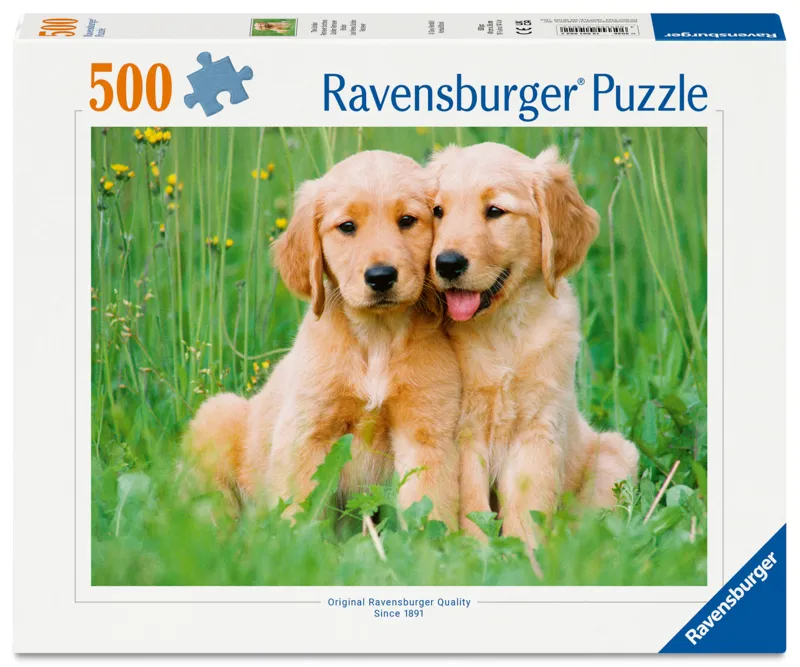 Golden Retriever Brüder