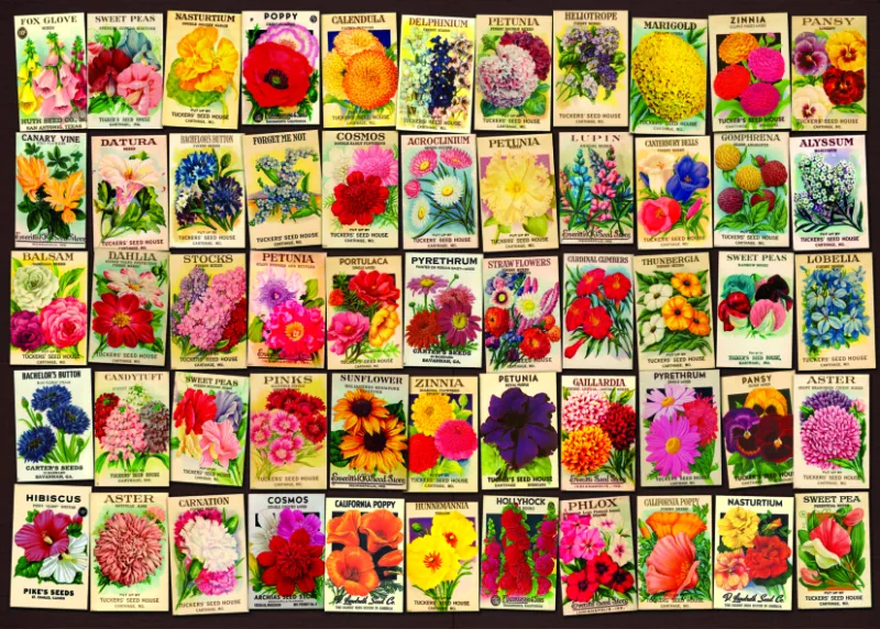 Vintage Collage - Blumen