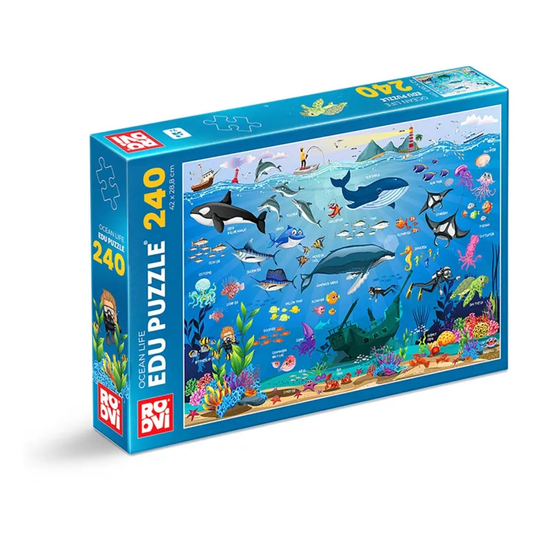 Ocean Animals